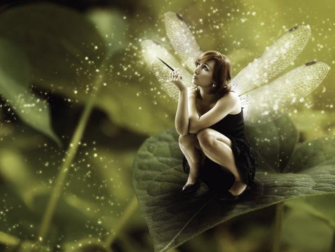 Magical Fairy Kisses Energy Healing System Course.